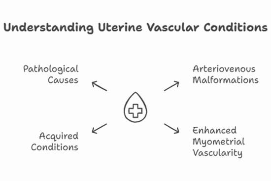 Enhanced myometrial vascularity and AVM {faces}